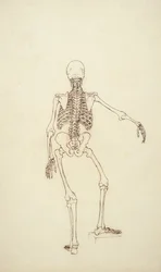 Studie der menschlichen Figur, hintere Ansicht, aus 